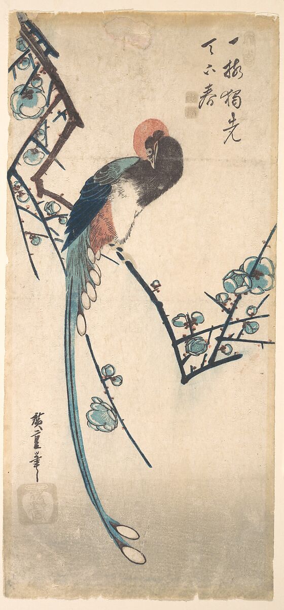 Long Tailed Bird, Utagawa Hiroshige (Japanese, Tokyo (Edo) 1797–1858 Tokyo (Edo)), Woodblock print; ink and color on paper, Japan 