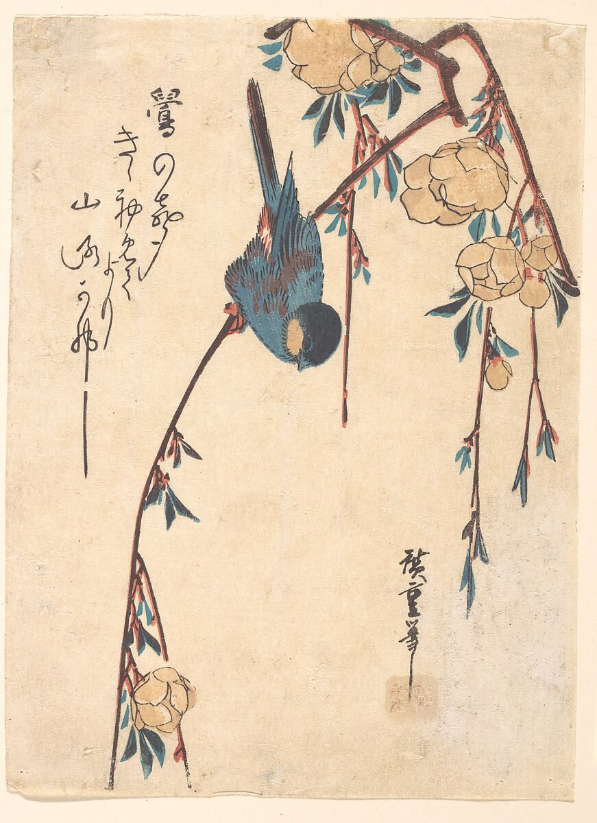 Weeping Cherry, Utagawa Hiroshige (Japanese, Tokyo (Edo) 1797–1858 Tokyo (Edo)), Woodblock print; ink and color on paper, Japan 