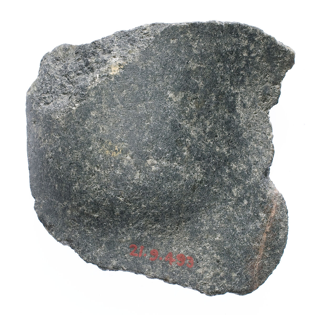 Joint, probably a knee, Diorite 