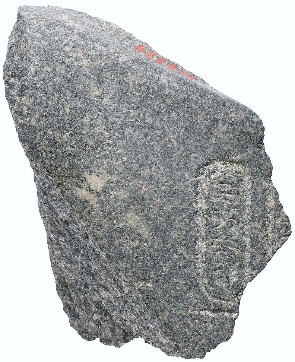 Right shoulder and chest with Aten cartouches, Diorite 