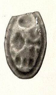 Ring bezel, Ankhkheperure