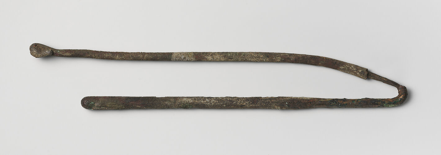 Bent piece of wire/Needle