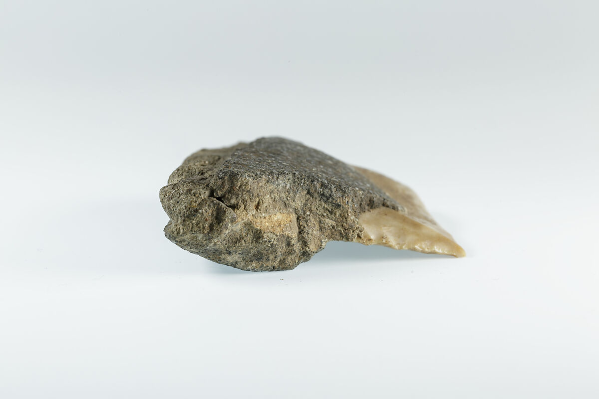 Sickle Insert, Flint, adhesive (lime plaster ?)