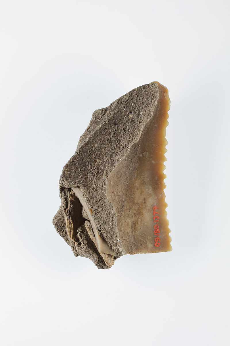 Sickle Insert, Flint, adhesive (lime plaster ?)