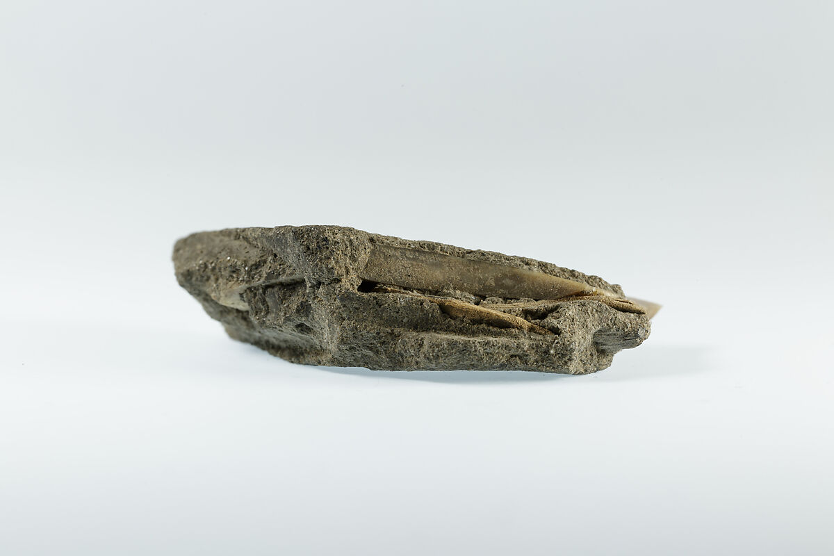 Sickle Insert, Flint, adhesive (lime plaster ?)