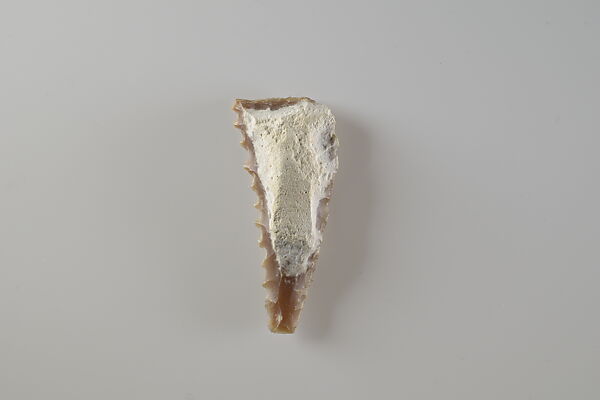 Sickle Insert, Flint 