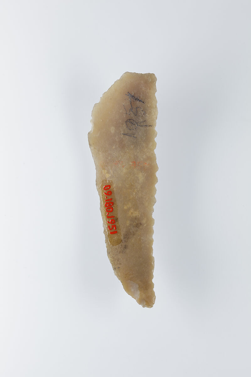 Sickle Insert, Flint, adhesive (lime plaster ?)