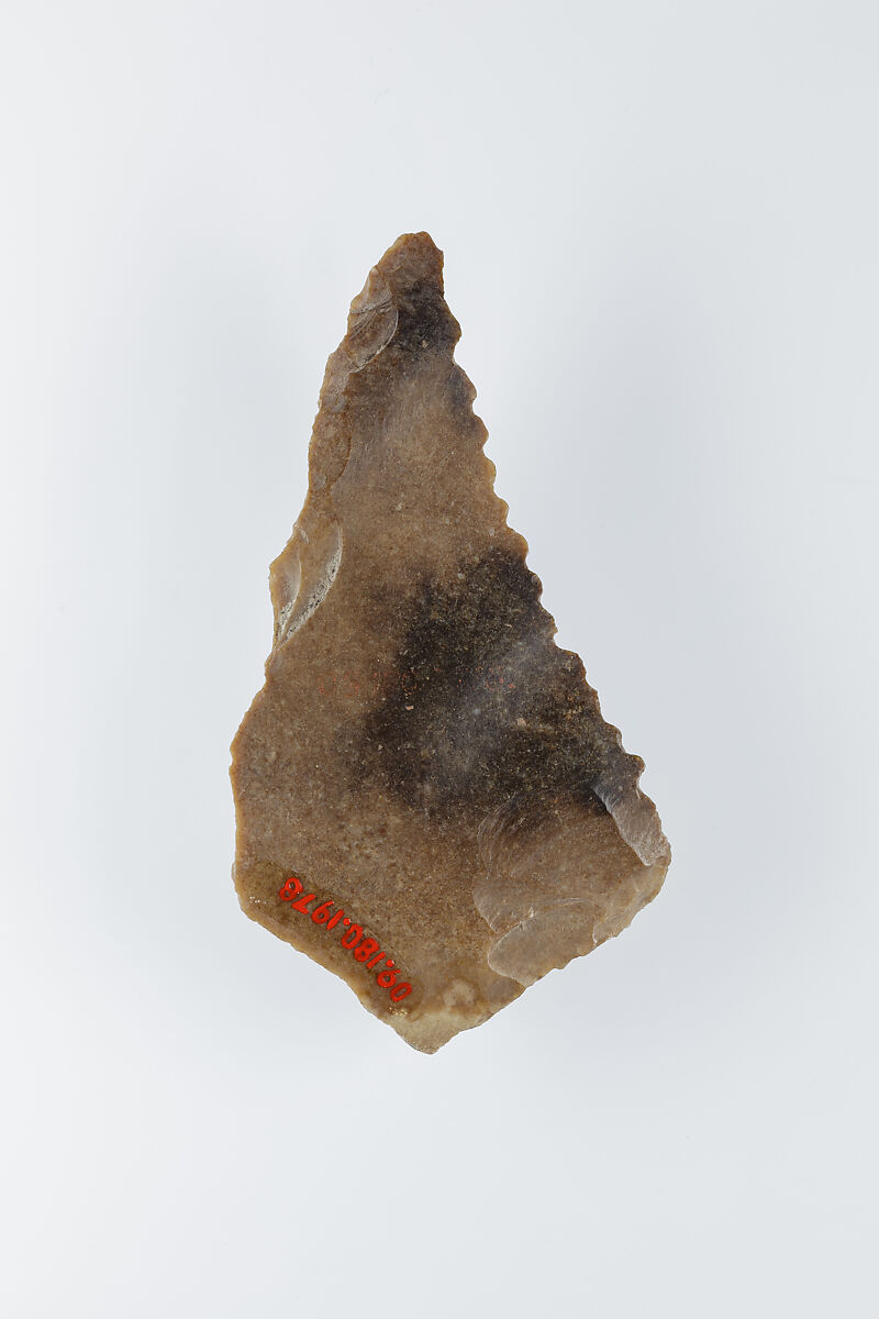 Sickle Insert, Flint, adhesive (lime plaster ?)