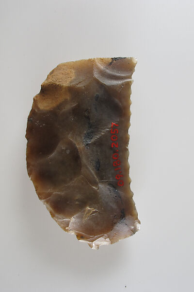 Sickle Insert, Flint, adhesive (lime plaster ?)