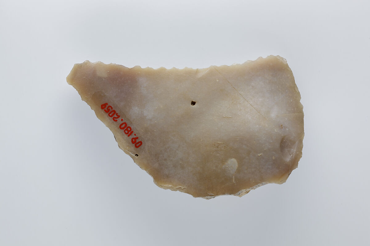 Sickle Insert, Flint, adhesive (lime plaster ?)