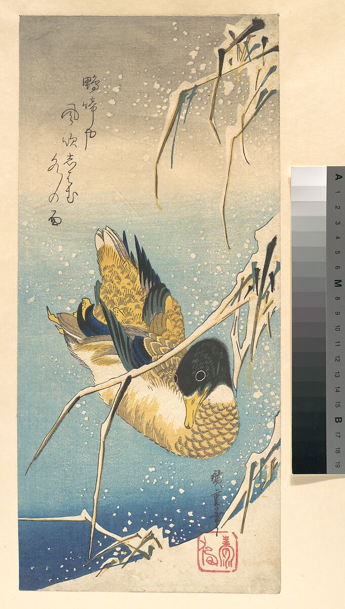 Mallard Duck and Snow-covered Reeds, Utagawa Hiroshige (Japanese, Tokyo (Edo) 1797–1858 Tokyo (Edo)), Woodblock print, Japan 