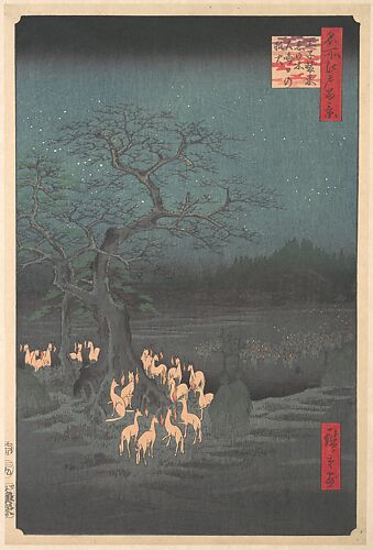 Shozokuenoki Tree at Oji: Fox–fires on New Years Eve