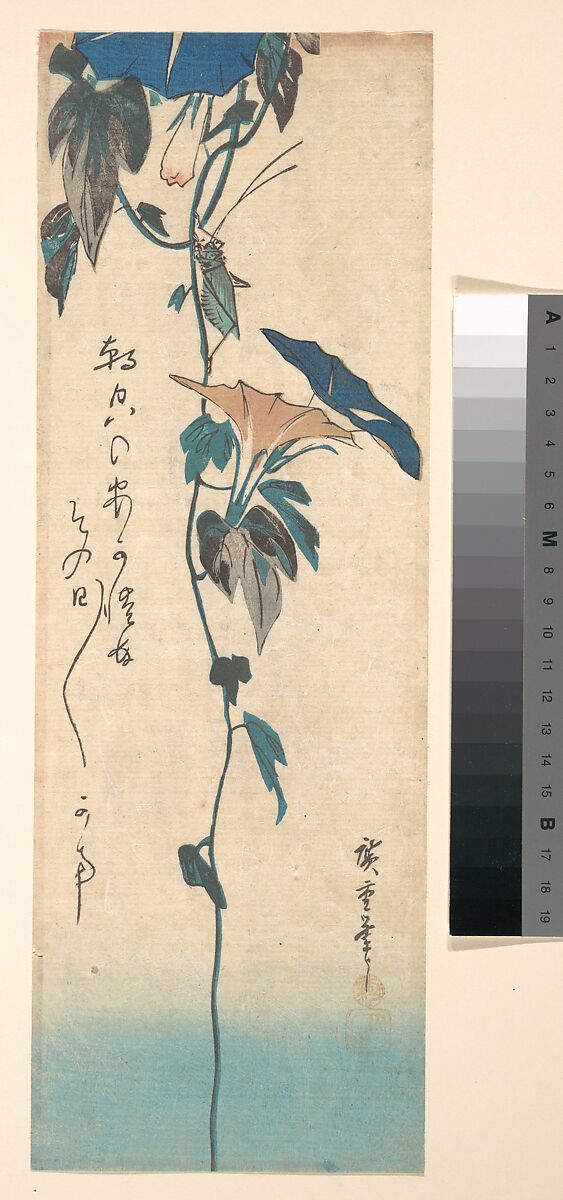 Grasshopper and Morning-glory Vine, Designed by Utagawa Hiroshige (Japanese, Tokyo (Edo) 1797–1858 Tokyo (Edo)), Woodblock print; ink and color on paper, Japan 