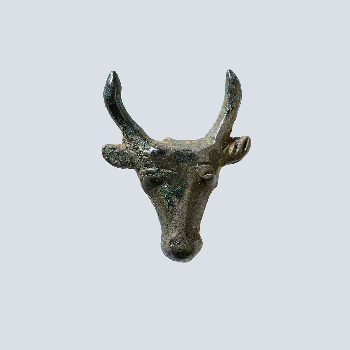 Bull's head, cupreous metal 