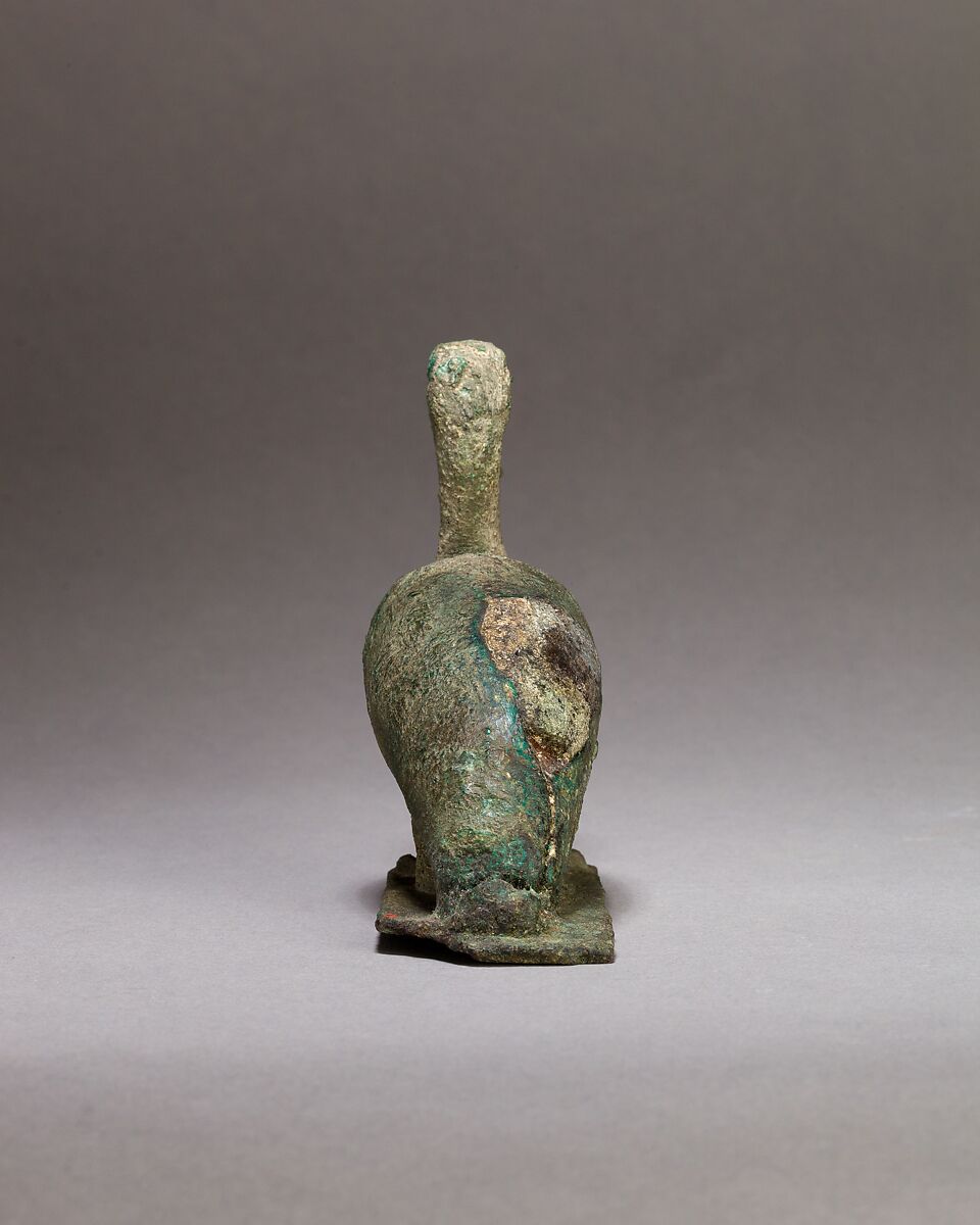 Ibis, Cupreous metal