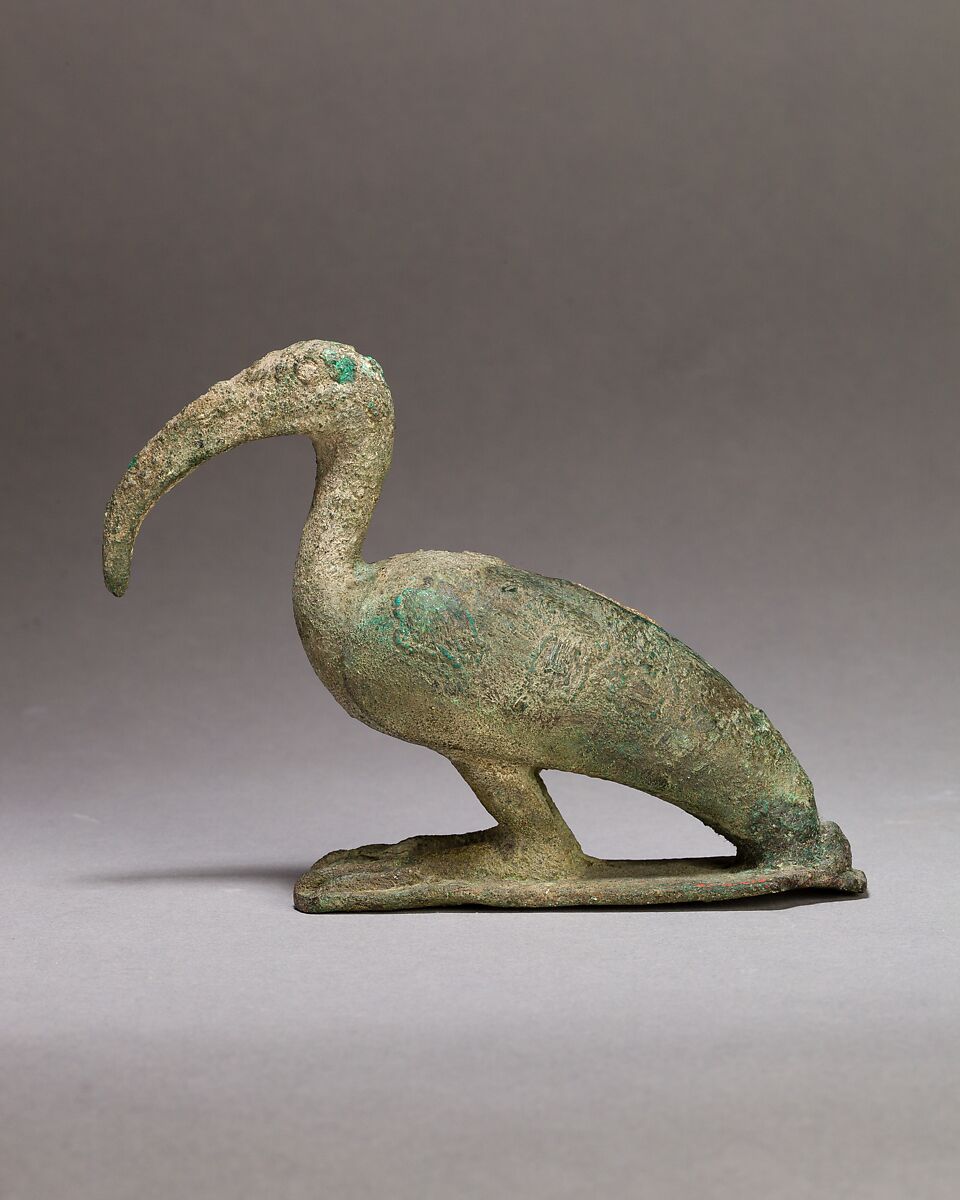 Ibis, Cupreous metal