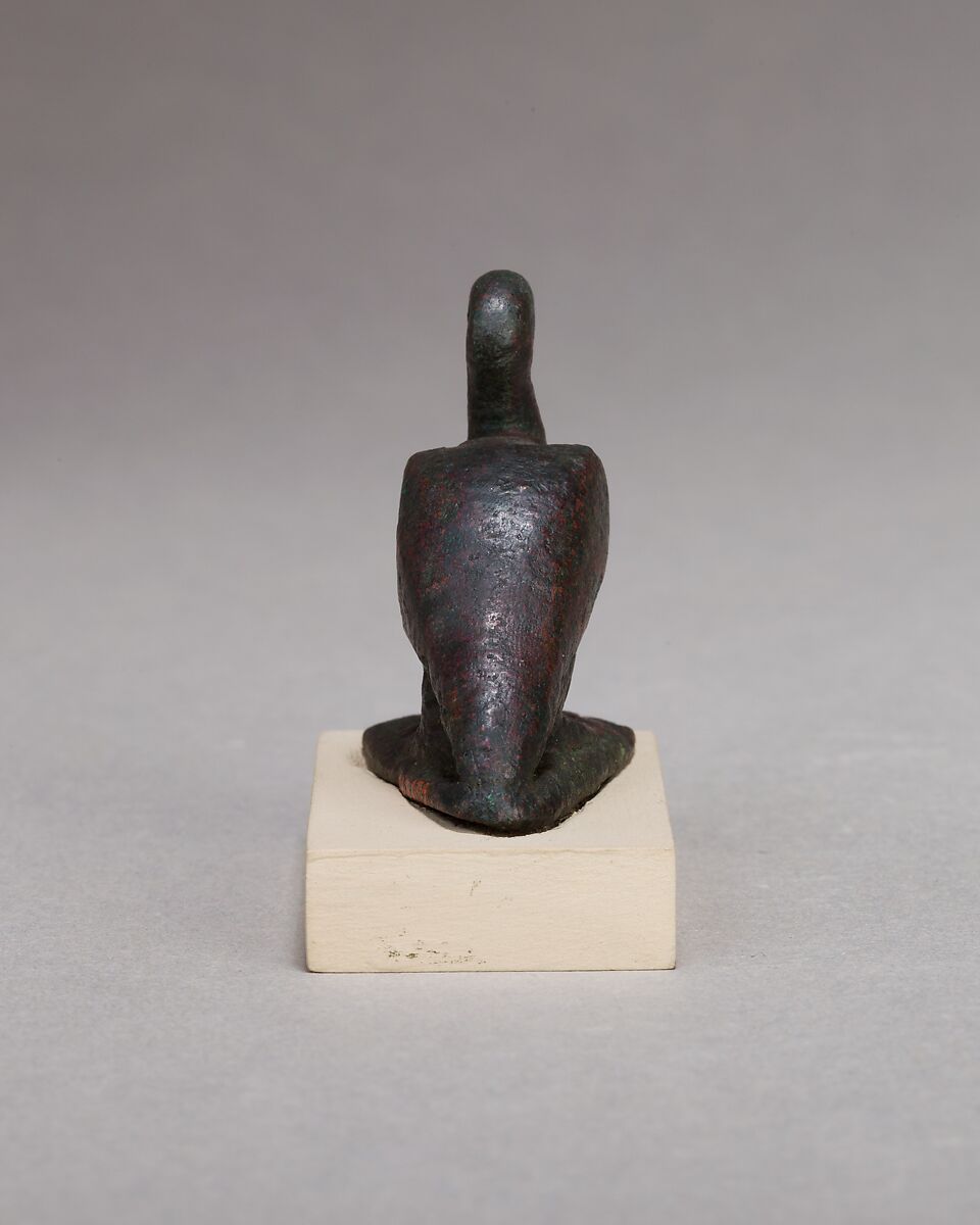 Ibis, Cupreous metal