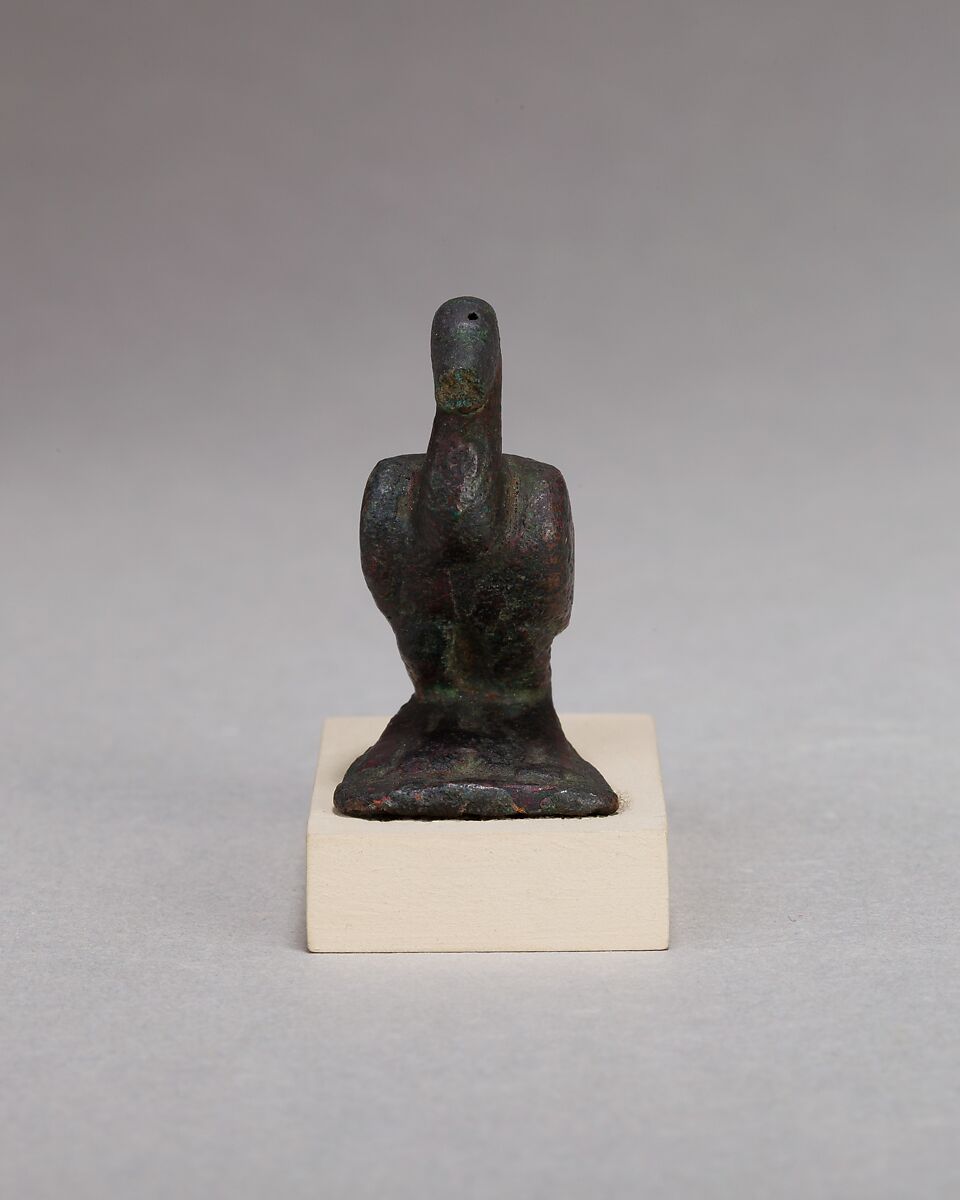 Ibis, Cupreous metal