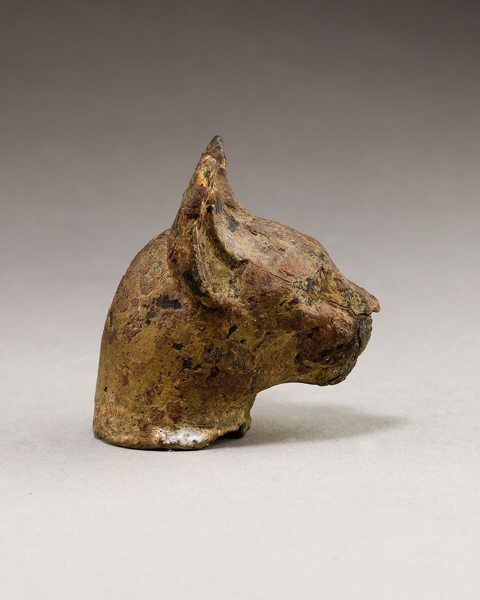 Cat head, Cupreous metal