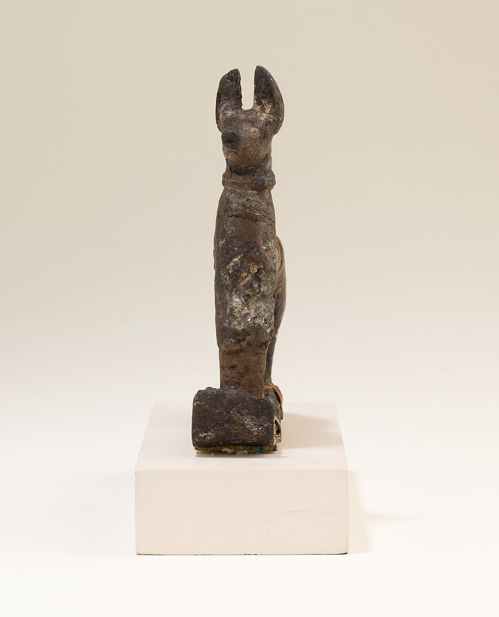 Jackal, Cupreous metal