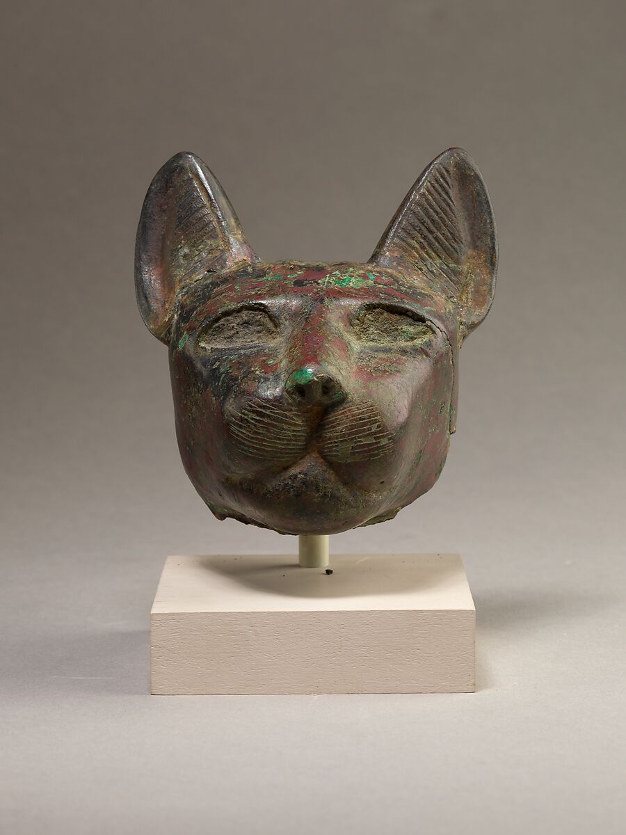 Head of a cat | Late Period | The Metropolitan Museum of Art
