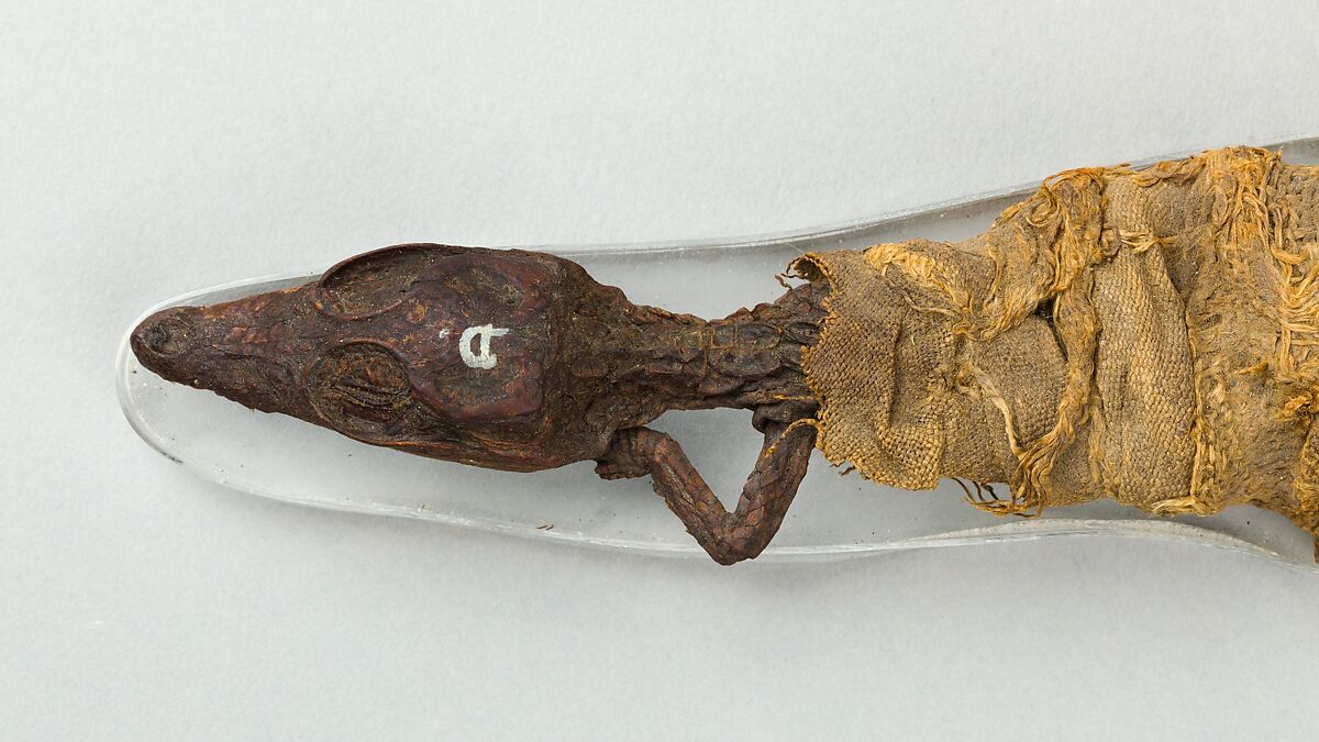 Sacred animal mummy of crocodile, Linen, animal remains