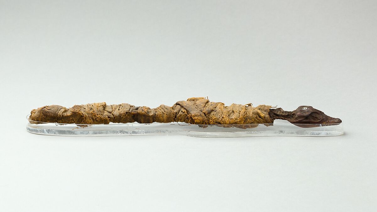 Sacred animal mummy of crocodile, Linen, animal remains
