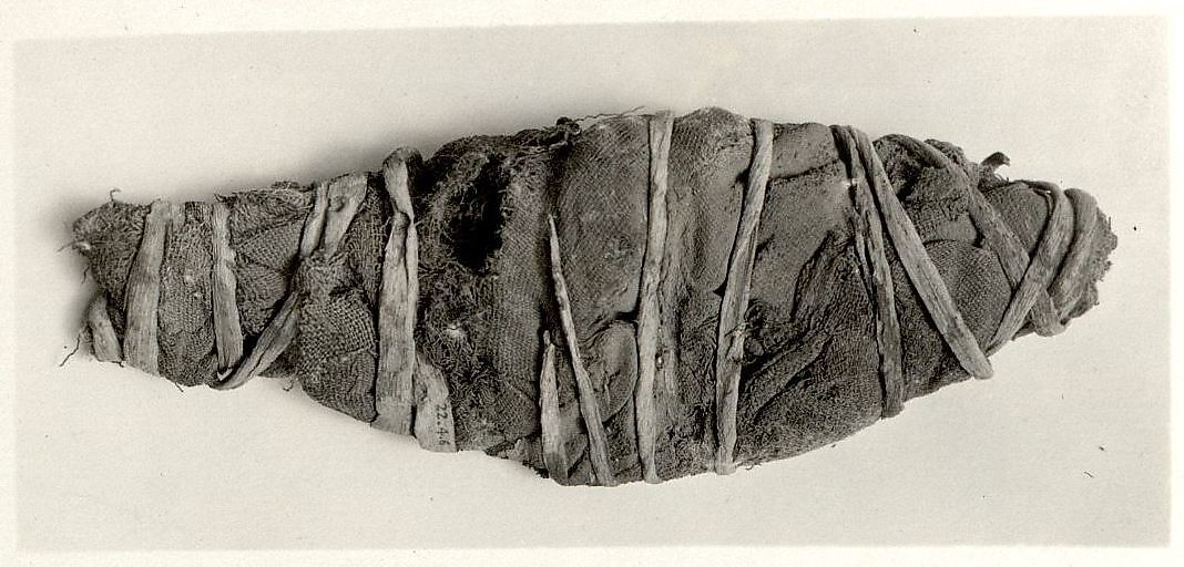 Mummified Fish, Animal remains, linen, papyrus