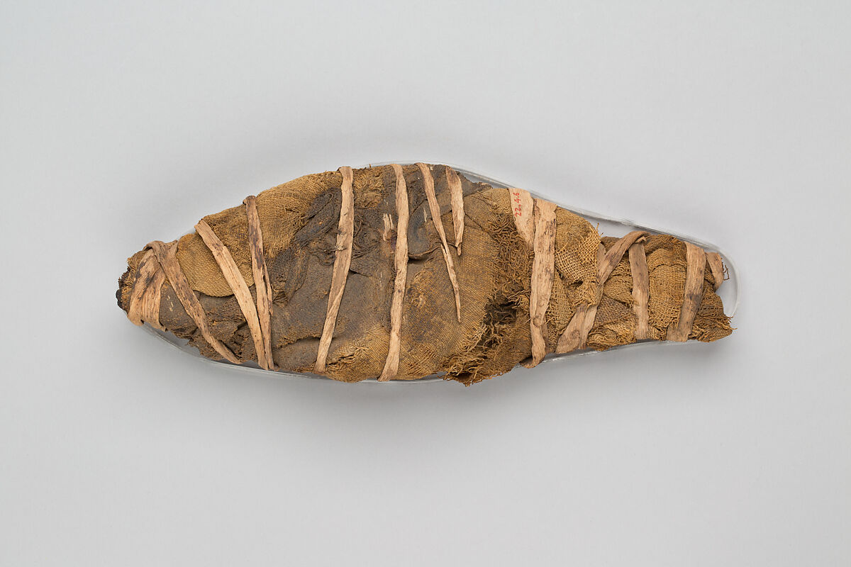 Mummified Fish, Animal remains, linen, papyrus 
