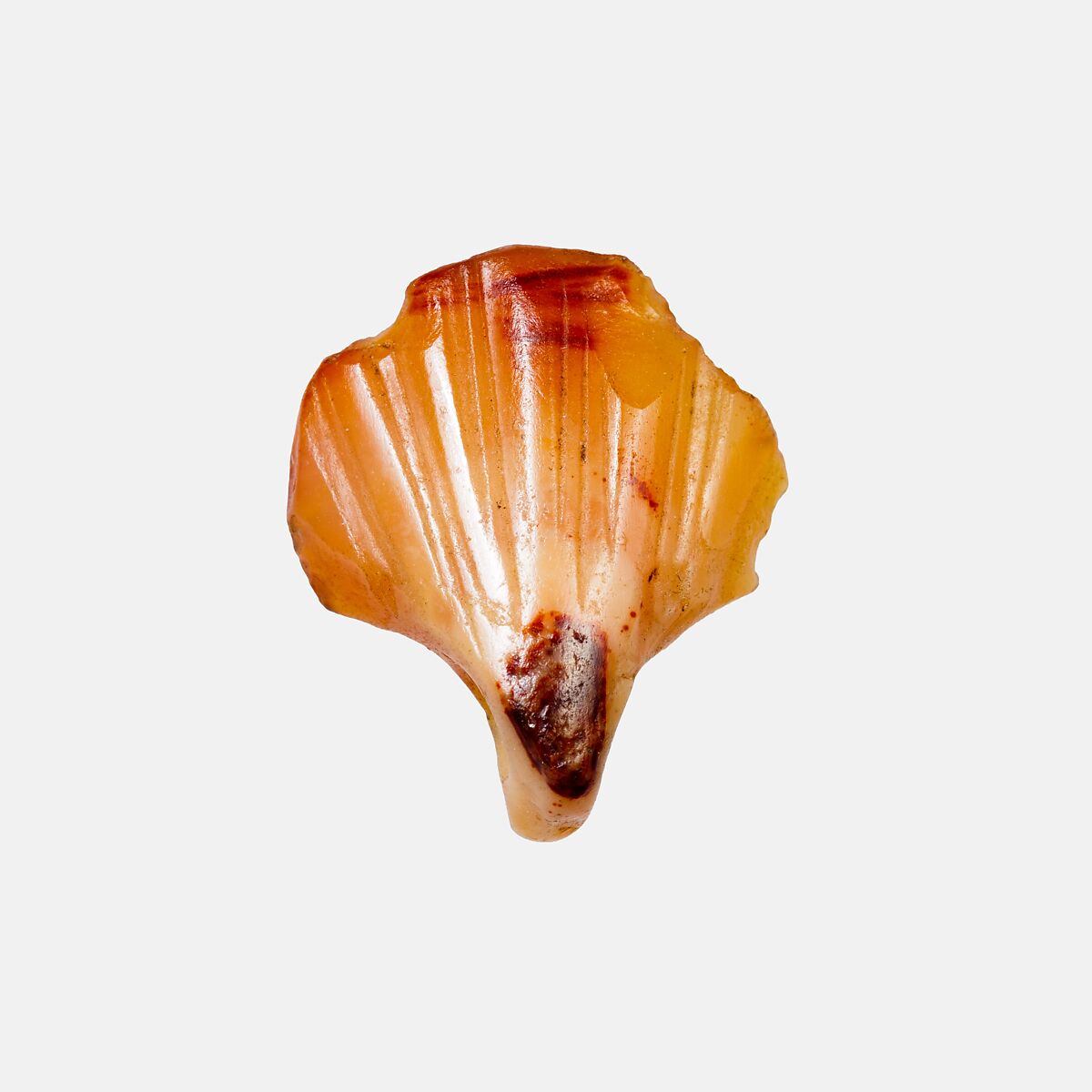 Shell Amulet, Carnelian 