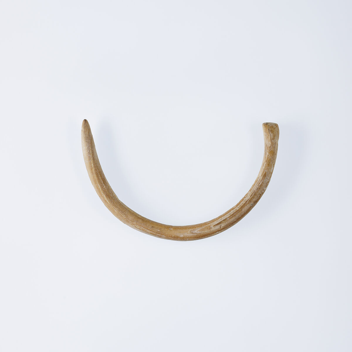 Bracelet, Shell 