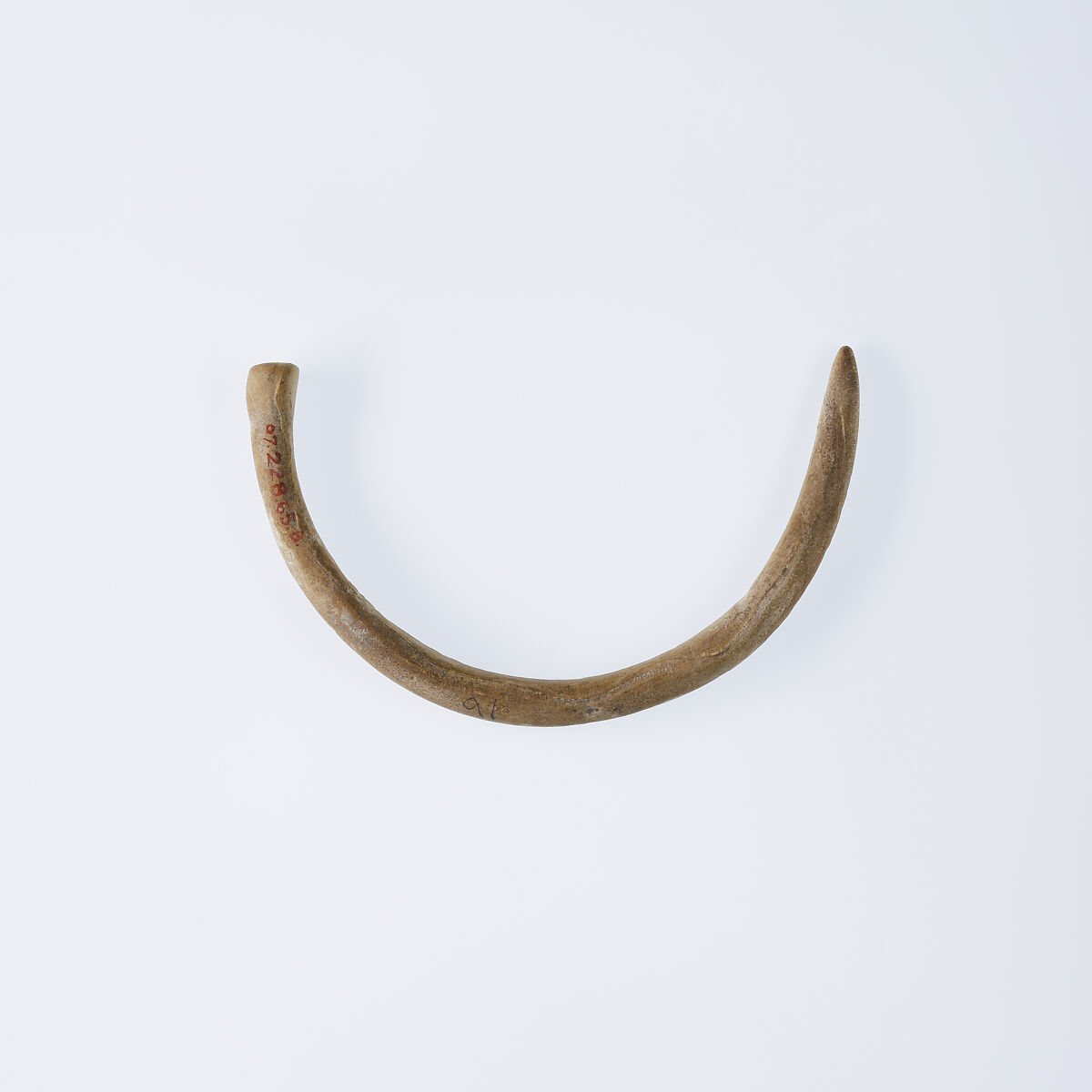 Bracelet, Shell