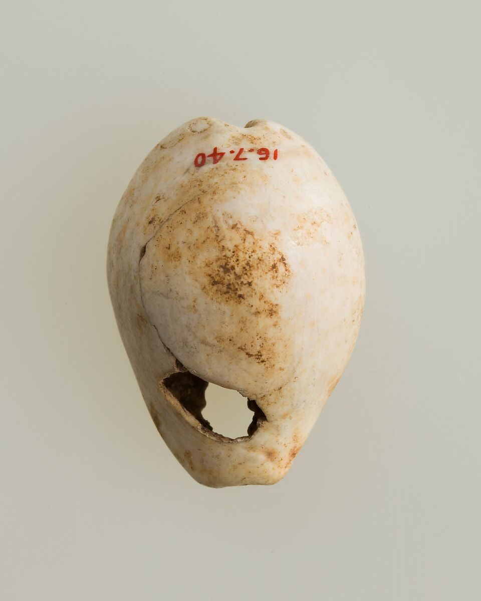 Shell pendant or bead, Shell