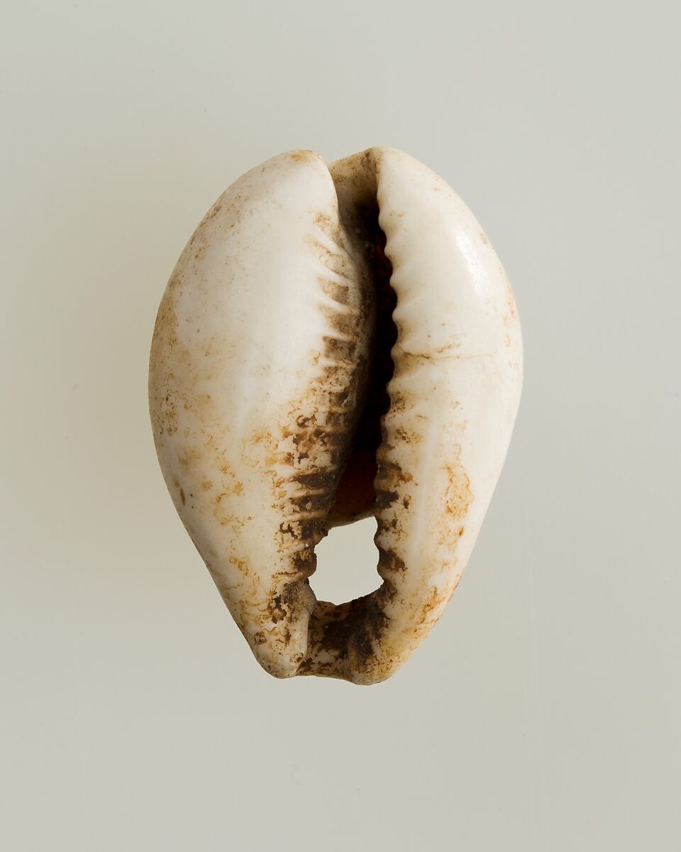 Shell pendant or bead, Shell 