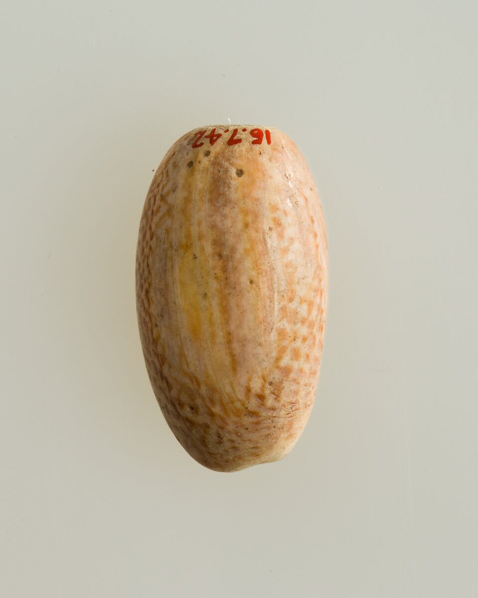 Shell pendant or bead, Shell