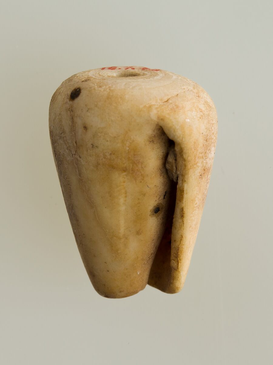 Shell pendant or bead, Shell