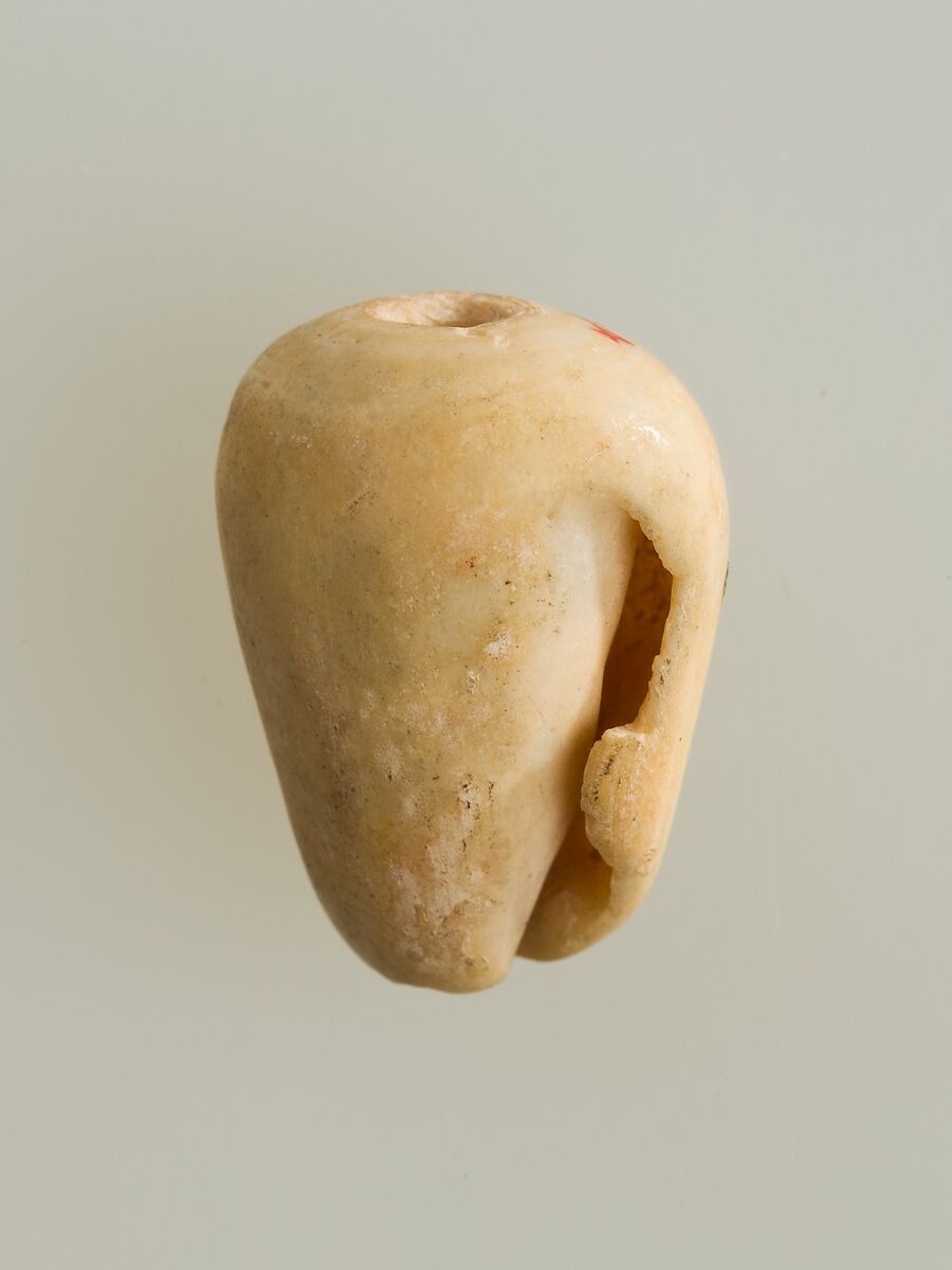 Shell pendant or bead, Shell
