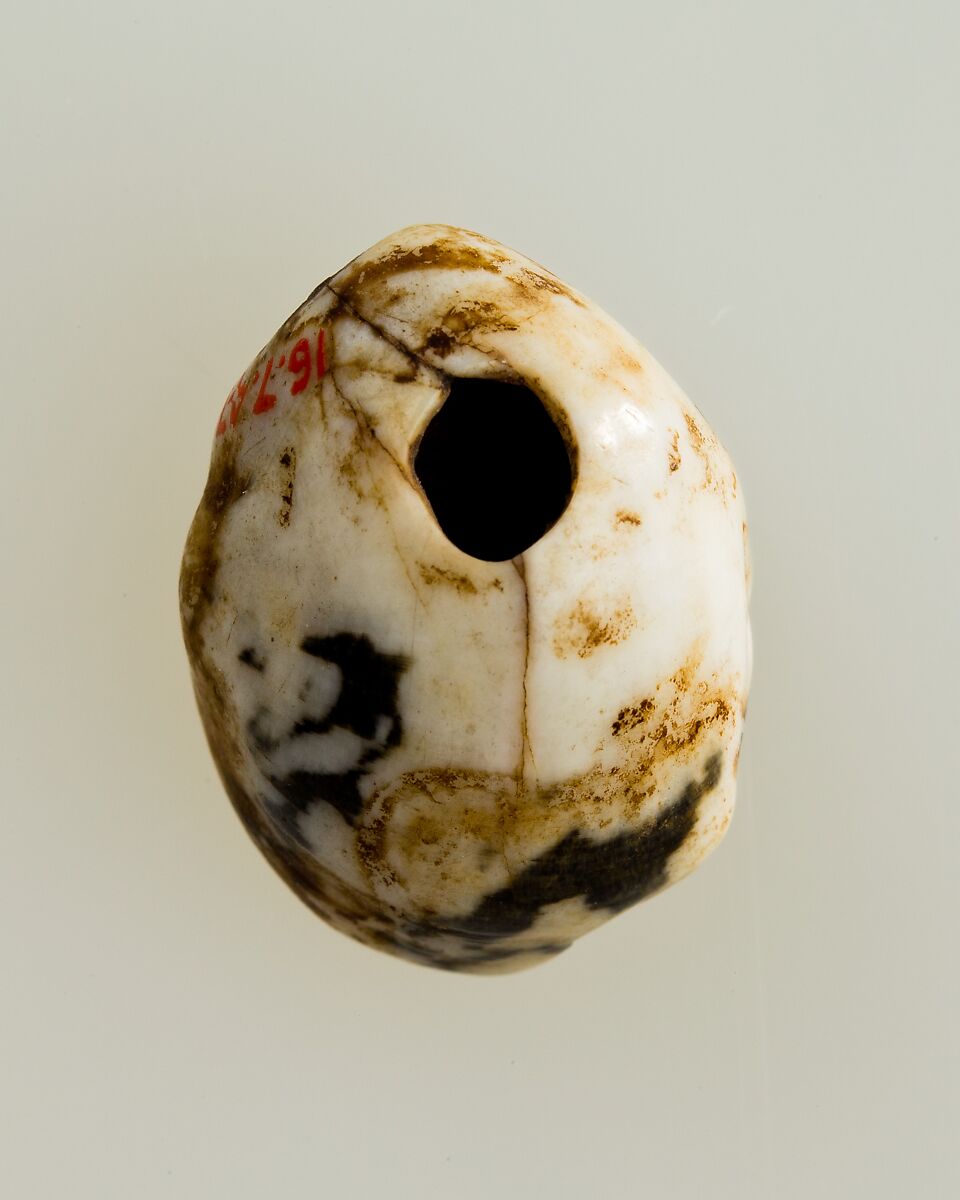 Shell pendant or bead, Shell 