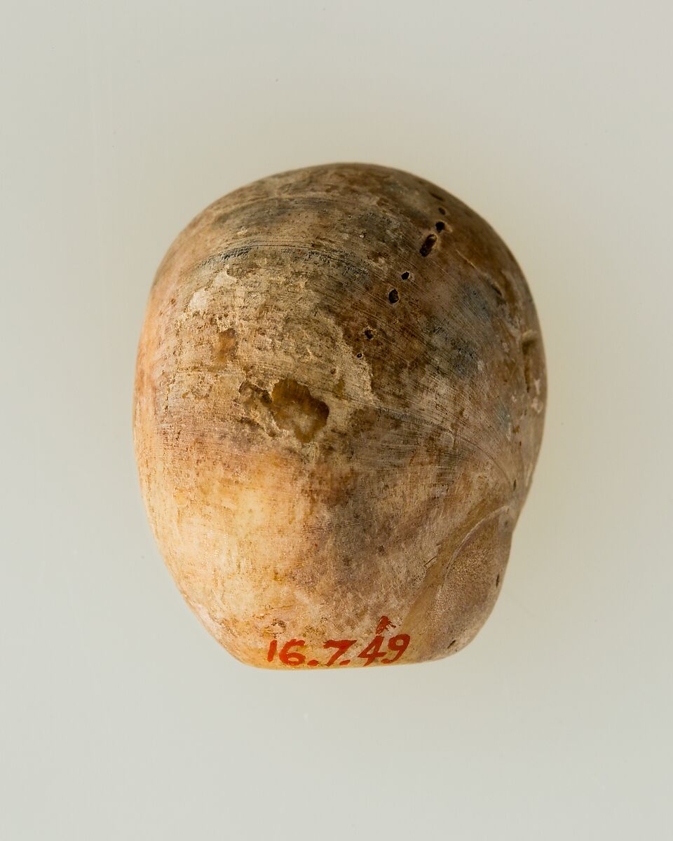 Shell pendant or bead, Shell