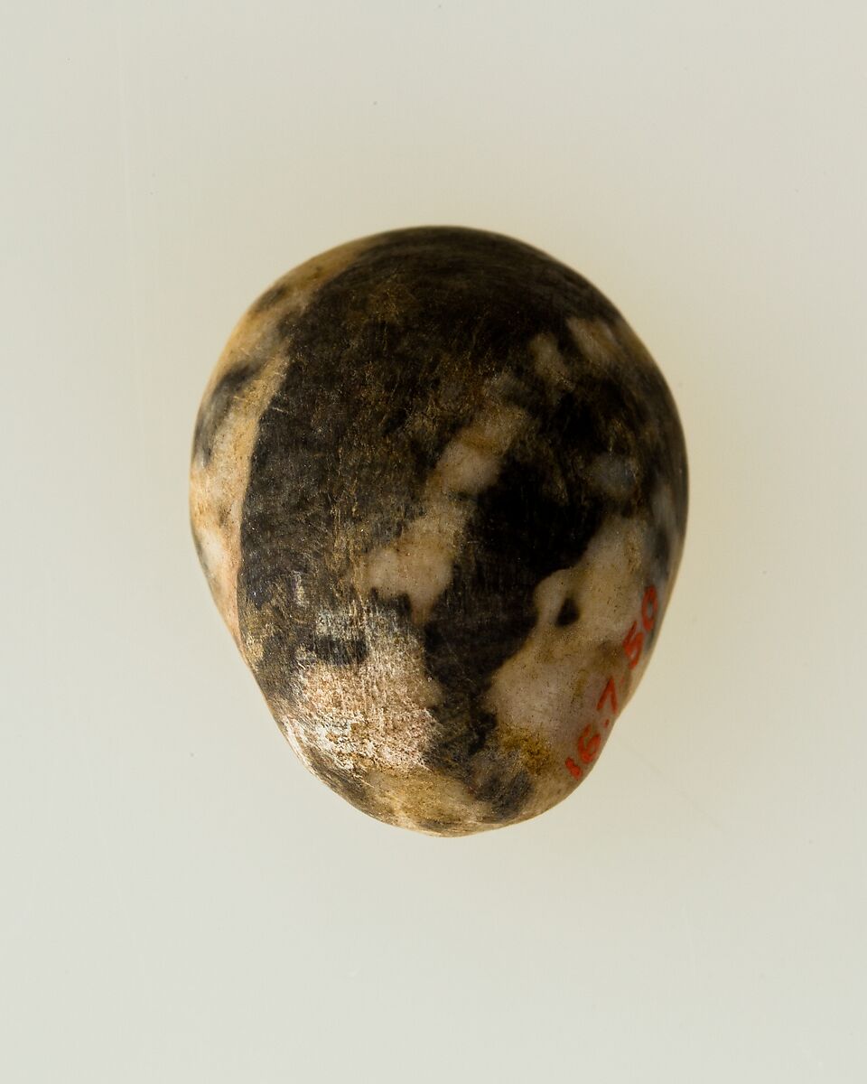 Shell pendant or bead, Shell 