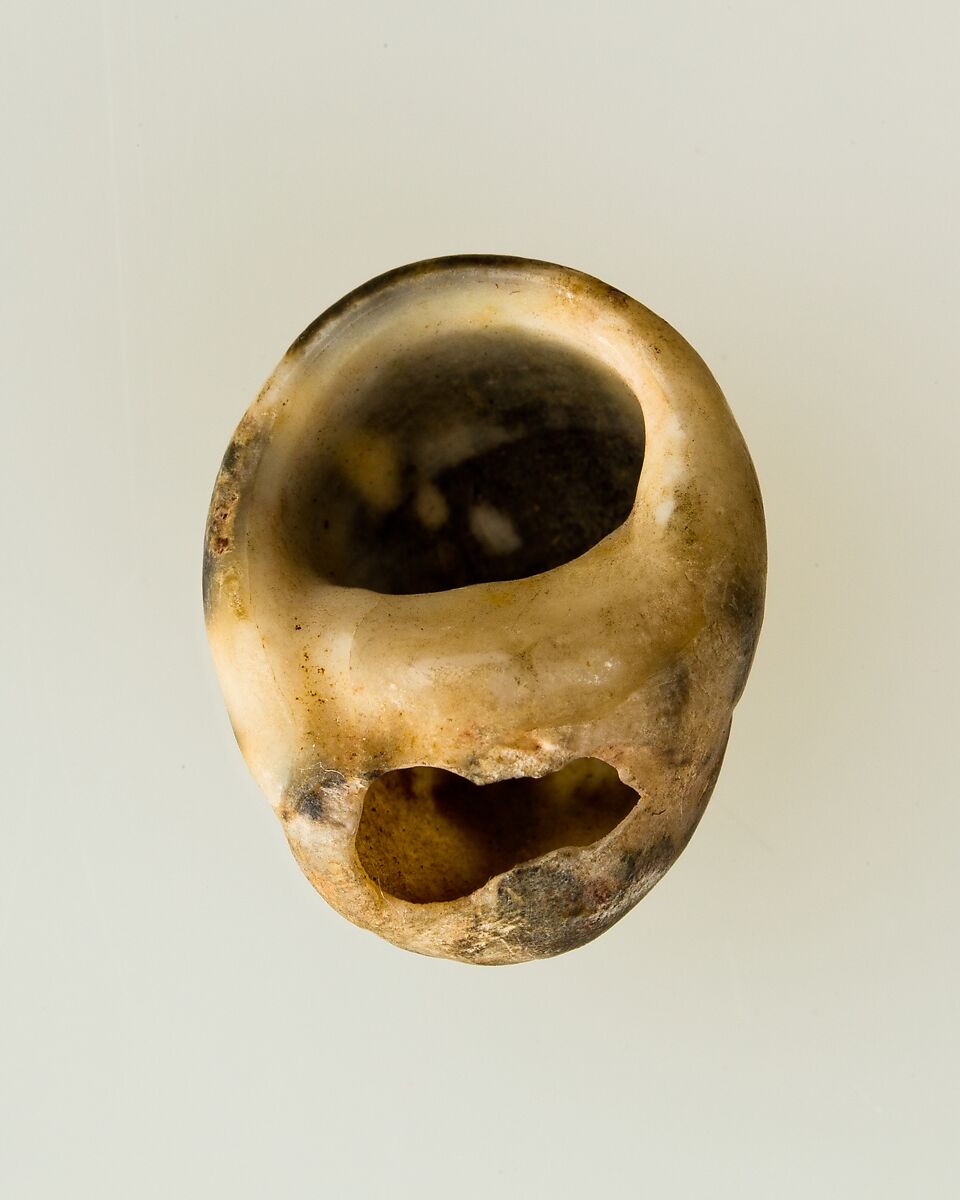 Shell pendant or bead, Shell