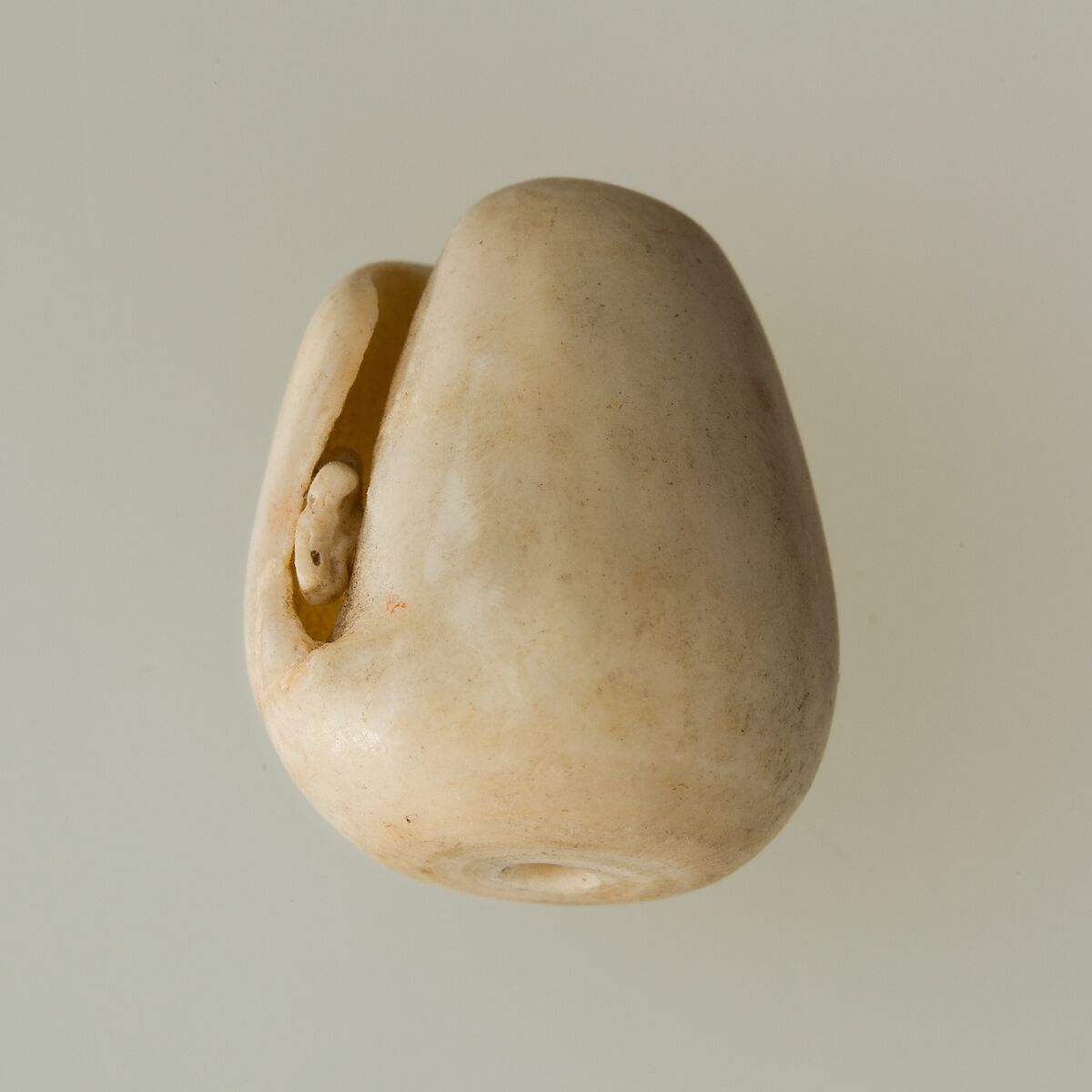 Shell pendant or bead, Shell 