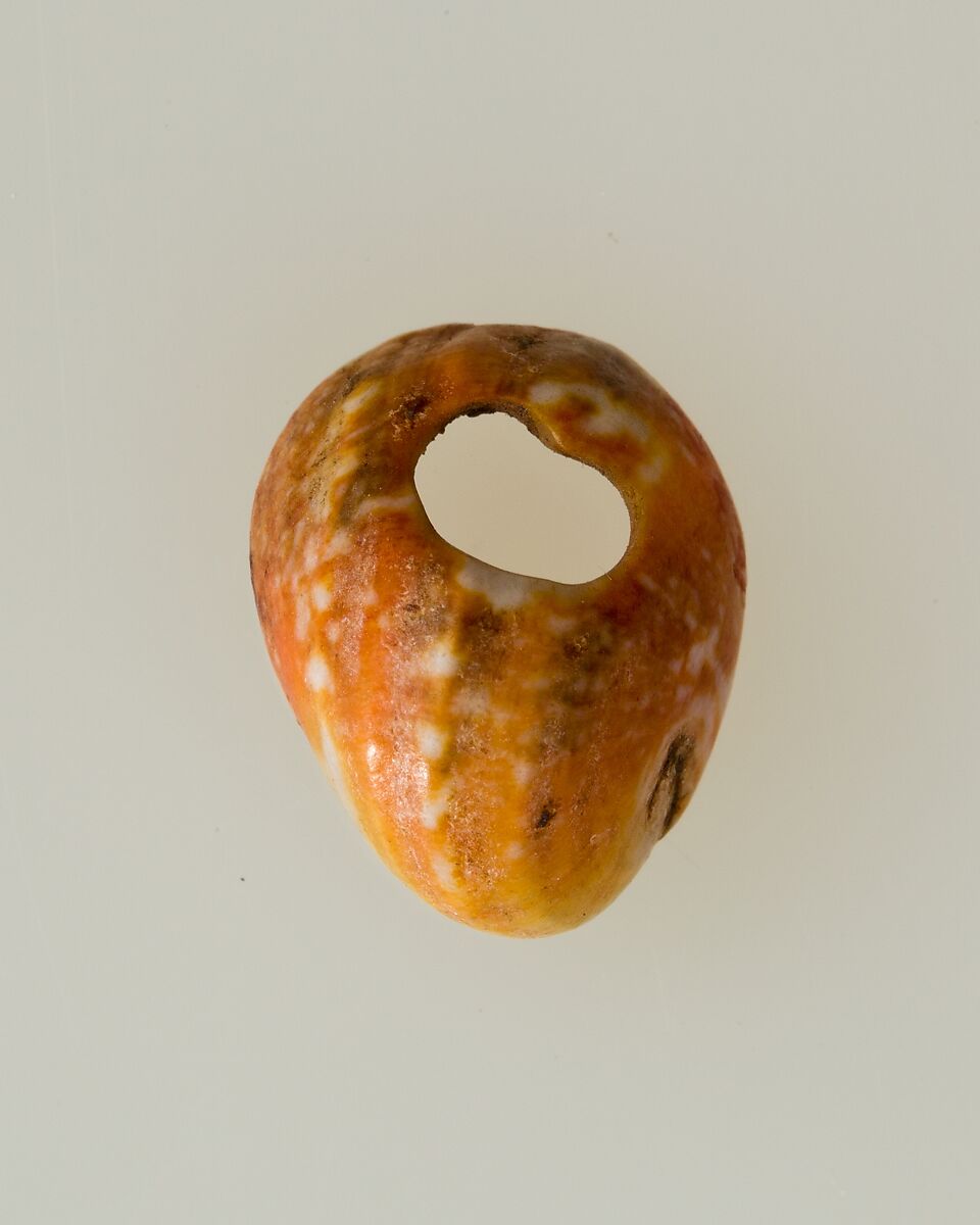 Shell pendant or bead, Shell 