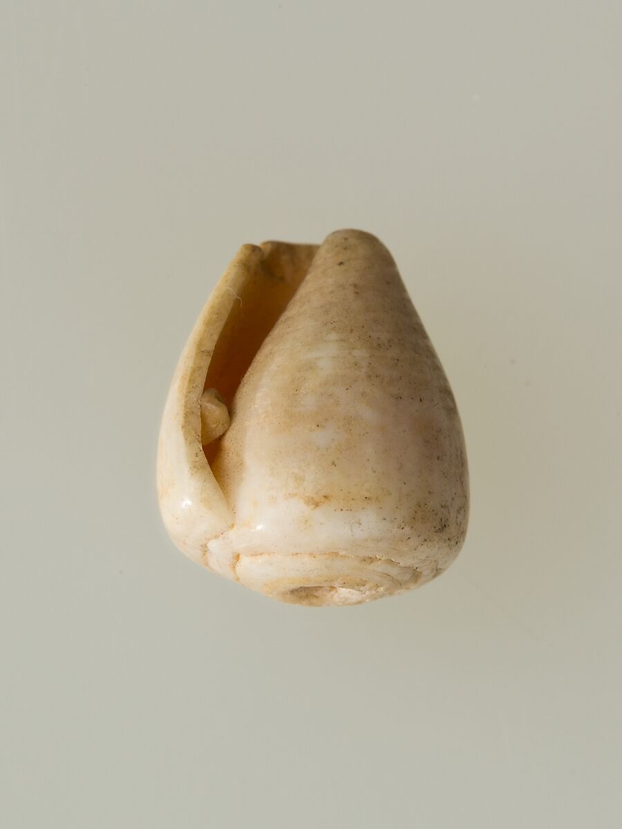 Shell pendant or bead, Shell 