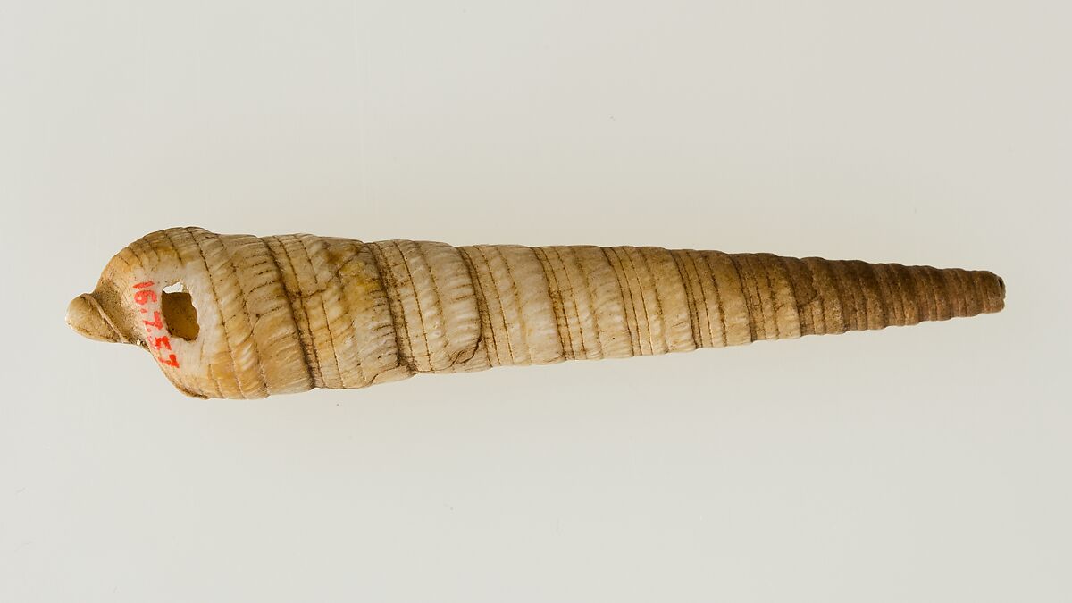 Shell pendant or bead, Shell