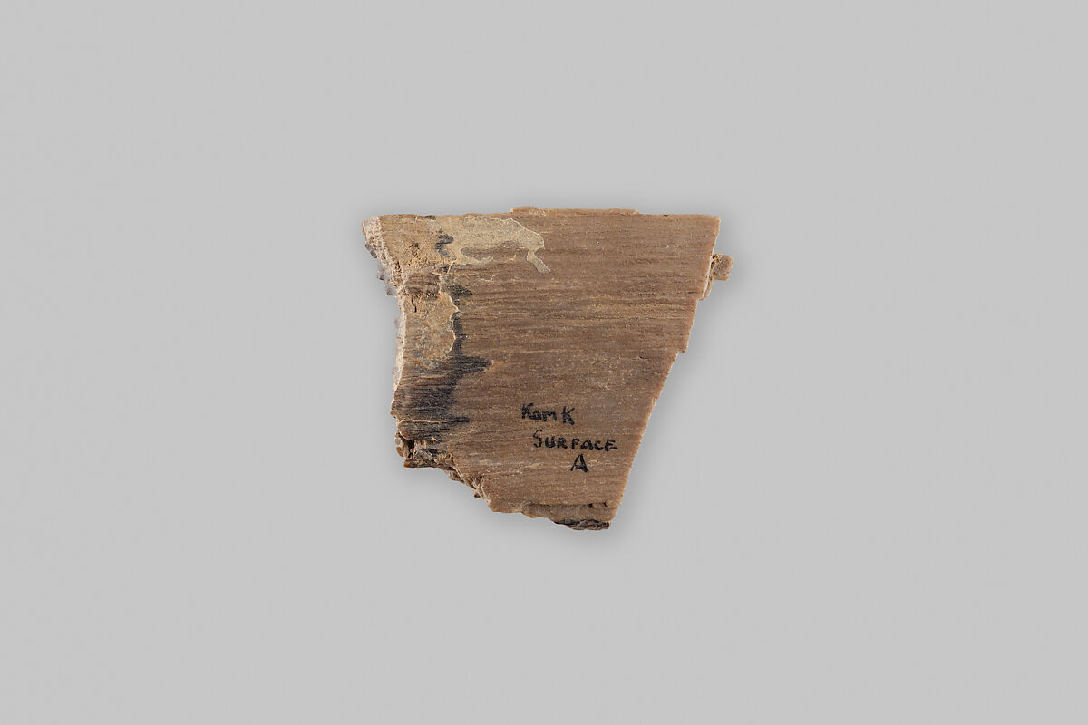Fragment, fossilized wood, Wood
