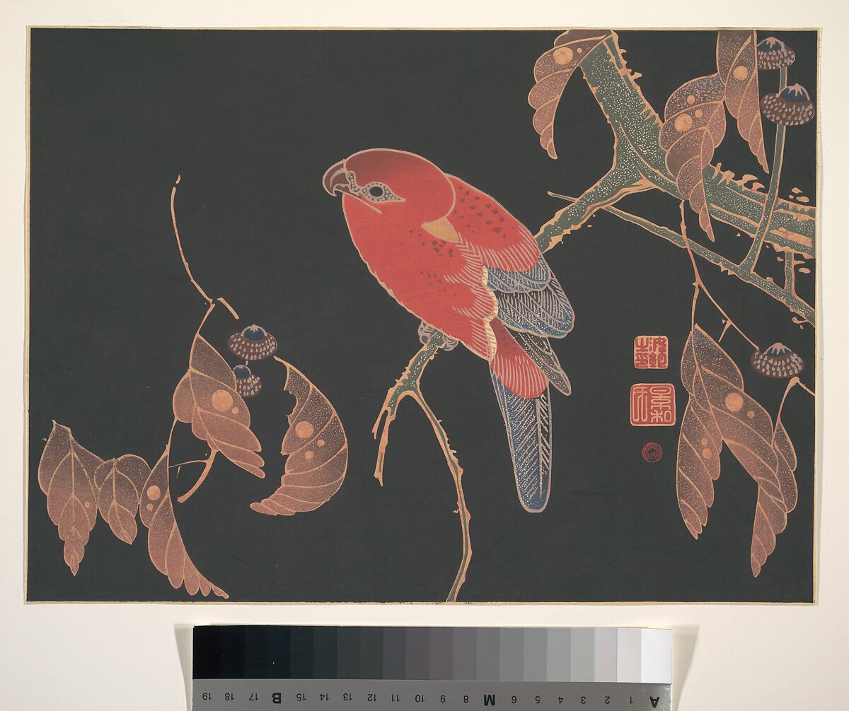 Red Parrot on the Branch of a Tree, Itō Jakuchū (Japanese, 1716–1800), Woodblock print; ink and color on paper, Japan 