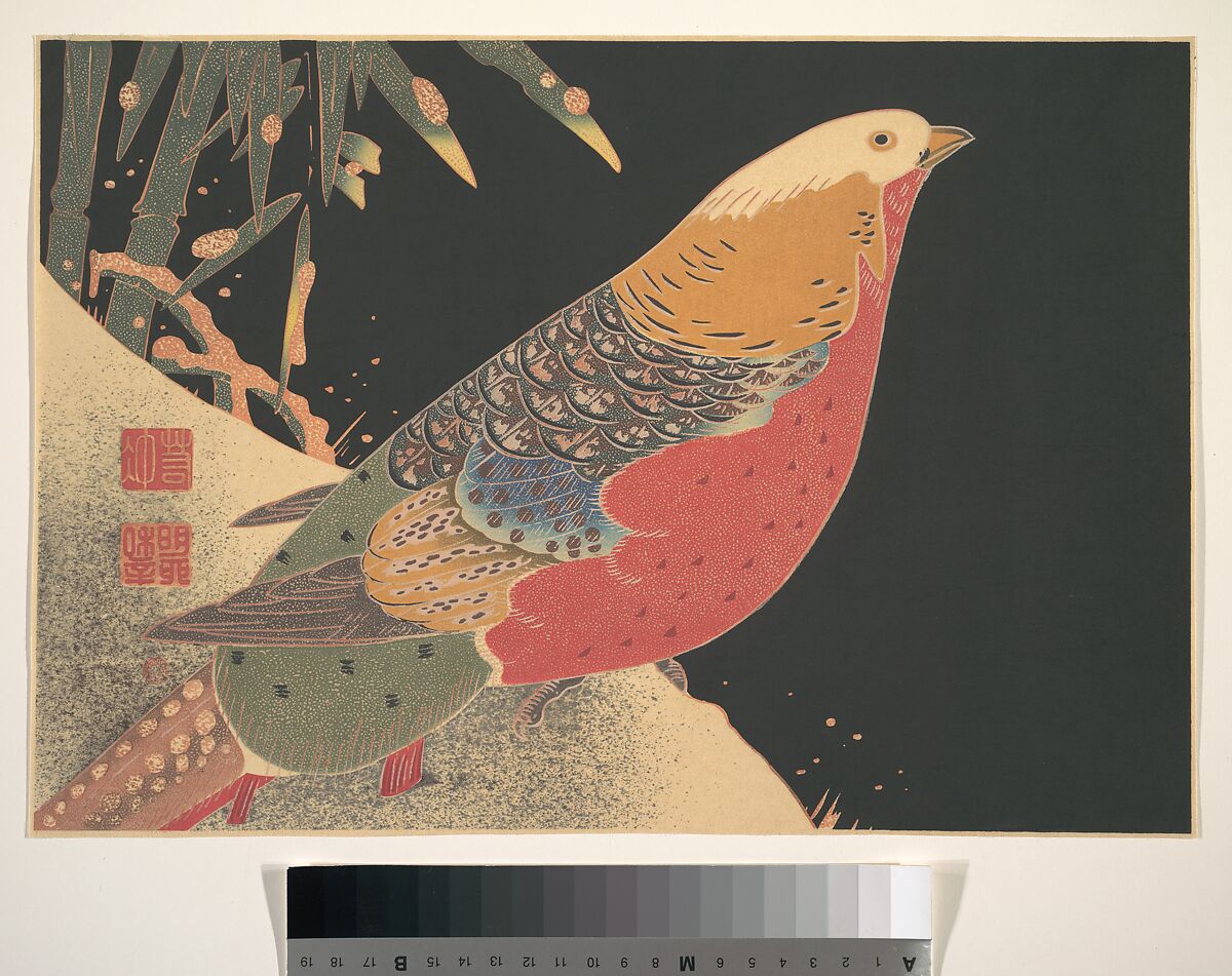 Golden Pheasant in the Snow, Itō Jakuchū (Japanese, 1716–1800), Woodblock print; ink and color on paper, Japan 
