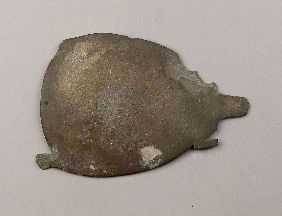 Palette, turtle, Greywacke