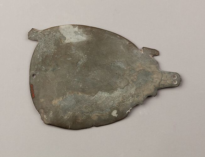 Palette, turtle